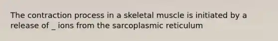 The contraction process in a skeletal muscle is initiated by a release of _ ions from the sarcoplasmic reticulum