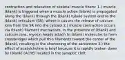 contraction and relaxation of skeletal muscle fibers: 1.) muscle (blank) is triggered when a muscle action (blank) is propagated along the (blank) through the (blank) tubule system and to the (blank) reticulum (SR), where it causes the release of calcium ions from the SR into the cytosol 2.) muscle contraction occurs via (blank) filament mechanism, in the presence of (blank) and calcium ions, myosin heads attach to (blank) molecules to form crossbridges which pull thin filaments toward the center of the (blank), resulting in the shortening of the sarcomere 3.) the effect of acetylcholine is brief because it is rapidly broken down by (blank) (AChE) located in the synaptic cleft