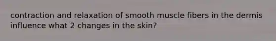 contraction and relaxation of smooth muscle fibers in the dermis influence what 2 changes in the skin?