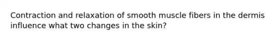 Contraction and relaxation of smooth muscle fibers in the dermis influence what two changes in the skin?