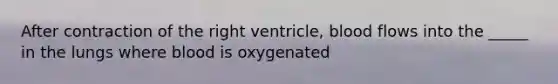 After contraction of the right ventricle, blood flows into the _____ in the lungs where blood is oxygenated