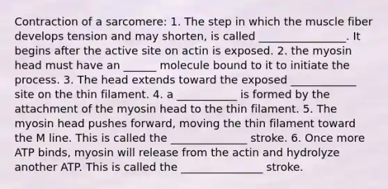 Contraction of a sarcomere: 1. The step in which the muscle fiber develops tension and may shorten, is called ________________. It begins after the active site on actin is exposed. 2. the myosin head must have an ______ molecule bound to it to initiate the process. 3. The head extends toward the exposed ____________ site on the thin filament. 4. a ___________ is formed by the attachment of the myosin head to the thin filament. 5. The myosin head pushes forward, moving the thin filament toward the M line. This is called the ______________ stroke. 6. Once more ATP binds, myosin will release from the actin and hydrolyze another ATP. This is called the _______________ stroke.