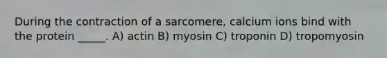 During the contraction of a sarcomere, calcium ions bind with the protein _____. A) actin B) myosin C) troponin D) tropomyosin