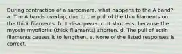 During contraction of a sarcomere, what happens to the A band? a. The A bands overlap, due to the pull of the thin filaments on the thick filaments. b. It disappears. c. It shortens, because the myosin myofibrils (thick filaments) shorten. d. The pull of actin filaments causes it to lengthen. e. None of the listed responses is correct.