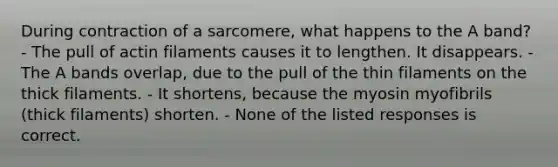 During contraction of a sarcomere, what happens to the A band? - The pull of actin filaments causes it to lengthen. It disappears. - The A bands overlap, due to the pull of the thin filaments on the thick filaments. - It shortens, because the myosin myofibrils (thick filaments) shorten. - None of the listed responses is correct.