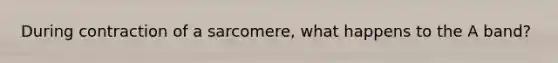 During contraction of a sarcomere, what happens to the A band?