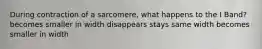 During contraction of a sarcomere, what happens to the I Band? becomes smaller in width disappears stays same width becomes smaller in width