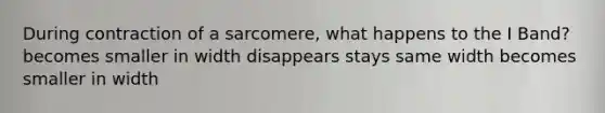 During contraction of a sarcomere, what happens to the I Band? becomes smaller in width disappears stays same width becomes smaller in width