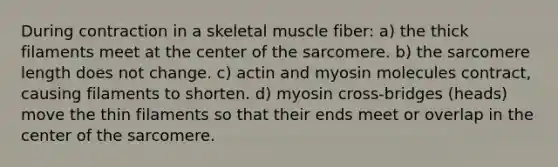 During contraction in a skeletal muscle fiber: a) the thick filaments meet at the center of the sarcomere. b) the sarcomere length does not change. c) actin and myosin molecules contract, causing filaments to shorten. d) myosin cross-bridges (heads) move the thin filaments so that their ends meet or overlap in the center of the sarcomere.