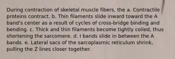 During contraction of skeletal muscle fibers, the a. Contractile proteins contract. b. Thin filaments slide inward toward the A band's center as a result of cycles of cross-bridge binding and bending. c. Thick and thin filaments become tightly coiled, thus shortening the sarcomere. d. I bands slide in between the A bands. e. Lateral sacs of the sarcoplasmic reticulum shrink, pulling the Z lines closer together.