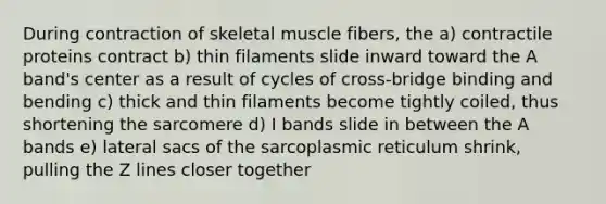 During contraction of skeletal muscle fibers, the a) contractile proteins contract b) thin filaments slide inward toward the A band's center as a result of cycles of cross-bridge binding and bending c) thick and thin filaments become tightly coiled, thus shortening the sarcomere d) I bands slide in between the A bands e) lateral sacs of the sarcoplasmic reticulum shrink, pulling the Z lines closer together