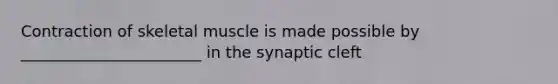 Contraction of skeletal muscle is made possible by _______________________ in the synaptic cleft