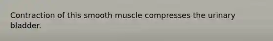 Contraction of this smooth muscle compresses the urinary bladder.