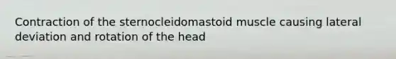 Contraction of the sternocleidomastoid muscle causing lateral deviation and rotation of the head