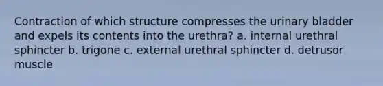 Contraction of which structure compresses the urinary bladder and expels its contents into the urethra? a. internal urethral sphincter b. trigone c. external urethral sphincter d. detrusor muscle