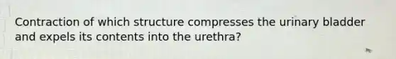 Contraction of which structure compresses the urinary bladder and expels its contents into the urethra?