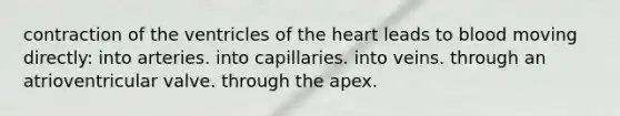 contraction of the ventricles of the heart leads to blood moving directly: into arteries. into capillaries. into veins. through an atrioventricular valve. through the apex.