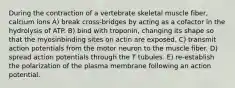 During the contraction of a vertebrate skeletal muscle fiber, calcium ions A) break cross-bridges by acting as a cofactor in the hydrolysis of ATP. B) bind with troponin, changing its shape so that the myosinbinding sites on actin are exposed. C) transmit action potentials from the motor neuron to the muscle fiber. D) spread action potentials through the T tubules. E) re-establish the polarization of the plasma membrane following an action potential.