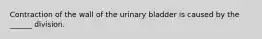 Contraction of the wall of the urinary bladder is caused by the ______ division.