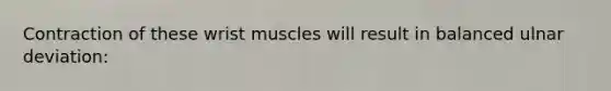 Contraction of these wrist muscles will result in balanced ulnar deviation: