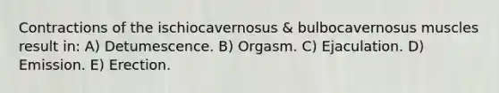 Contractions of the ischiocavernosus & bulbocavernosus muscles result in: A) Detumescence. B) Orgasm. C) Ejaculation. D) Emission. E) Erection.