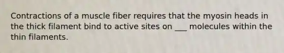 Contractions of a muscle fiber requires that the myosin heads in the thick filament bind to active sites on ___ molecules within the thin filaments.