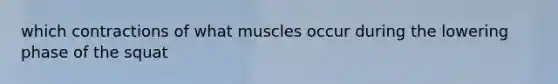 which contractions of what muscles occur during the lowering phase of the squat