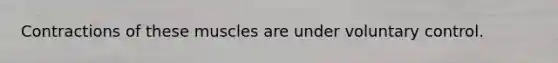 Contractions of these muscles are under voluntary control.