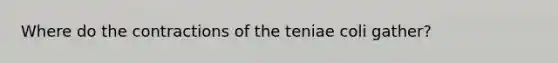 Where do the contractions of the teniae coli gather?