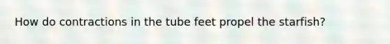 How do contractions in the tube feet propel the starfish?