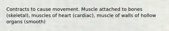 Contracts to cause movement. Muscle attached to bones (skeletal), muscles of heart (cardiac), muscle of walls of hollow organs (smooth)