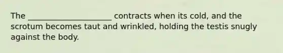 The _____________________ contracts when its cold, and the scrotum becomes taut and wrinkled, holding the testis snugly against the body.