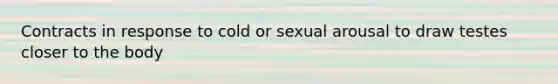 Contracts in response to cold or sexual arousal to draw testes closer to the body