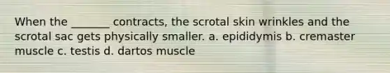 When the _______ contracts, the scrotal skin wrinkles and the scrotal sac gets physically smaller. a. epididymis b. cremaster muscle c. testis d. dartos muscle