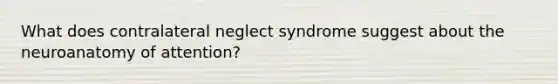 What does contralateral neglect syndrome suggest about the neuroanatomy of attention?