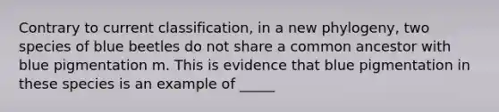 Contrary to current classification, in a new phylogeny, two species of blue beetles do not share a common ancestor with blue pigmentation m. This is evidence that blue pigmentation in these species is an example of _____
