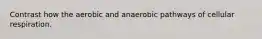 Contrast how the aerobic and anaerobic pathways of cellular respiration.