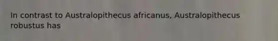 In contrast to Australopithecus africanus, Australopithecus robustus has