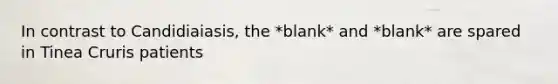 In contrast to Candidiaiasis, the *blank* and *blank* are spared in Tinea Cruris patients