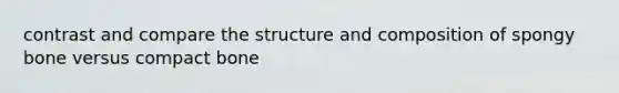 contrast and compare the structure and composition of spongy bone versus compact bone