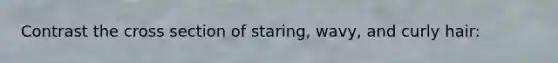 Contrast the cross section of staring, wavy, and curly hair: