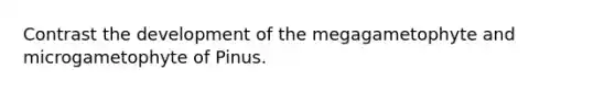 Contrast the development of the megagametophyte and microgametophyte of Pinus.