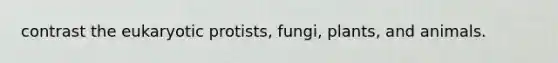 contrast the eukaryotic protists, fungi, plants, and animals.