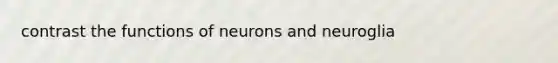 contrast the functions of neurons and neuroglia