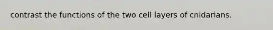 contrast the functions of the two cell layers of cnidarians.