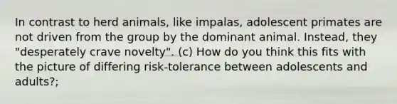 In contrast to herd animals, like impalas, adolescent primates are not driven from the group by the dominant animal. Instead, they "desperately crave novelty". (c) How do you think this fits with the picture of differing risk-tolerance between adolescents and adults?;