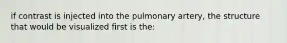 if contrast is injected into the pulmonary artery, the structure that would be visualized first is the: