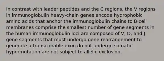 In contrast with leader peptides and the C regions, the V regions in immunoglobulin heavy-chain genes encode hydrophobic amino acids that anchor the immunoglobulin chains to B-cell membranes comprise the smallest number of gene segments in the human immunoglobulin loci are composed of V, D, and J gene segments that must undergo gene rearrangement to generate a transcribable exon do not undergo somatic hypermutation are not subject to allelic exclusion.