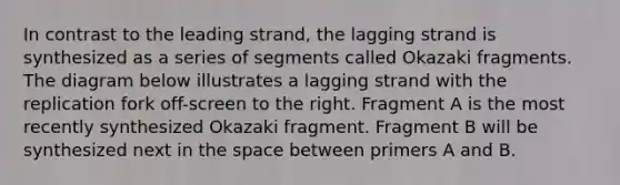 In contrast to the leading strand, the lagging strand is synthesized as a series of segments called Okazaki fragments. The diagram below illustrates a lagging strand with the replication fork off-screen to the right. Fragment A is the most recently synthesized Okazaki fragment. Fragment B will be synthesized next in the space between primers A and B.