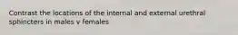 Contrast the locations of the internal and external urethral sphincters in males v females